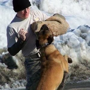 Meet your Posher, Johnnie